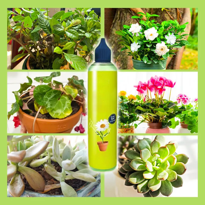 2025 New Arrival Liquid Nutrient For Outdoor & Indoor Plants